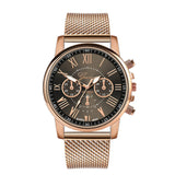 Luxe horloge voor dames - Modieuze quartz uurwerk mesh band zakelijke stijl