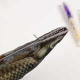 Funny Salted Fish Pencil Case - Pouch for Teen Boys Girls School Students Children 15 Pens